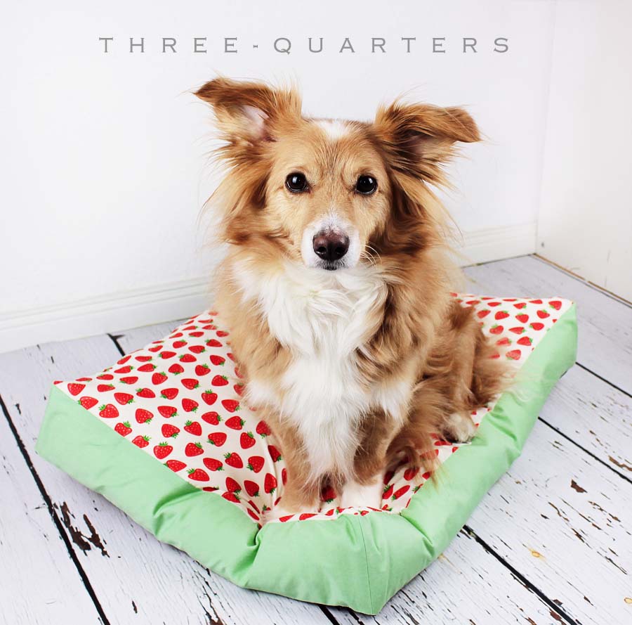 ThreeQuarters Hund, Katze, Erdbeeren, Punkte, schwarz, Polka Dots