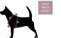 Preview: Hundegeschirr RED JACK, blau und rot, UK, England, gefüttert mit Kunstleder, Hundeleine